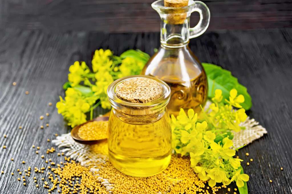 Benefits Of Canola Oil:
Canola oil makes a dog’s heart, brain, and skin super healthy with two special substances. These are omega-3 and omega-6.