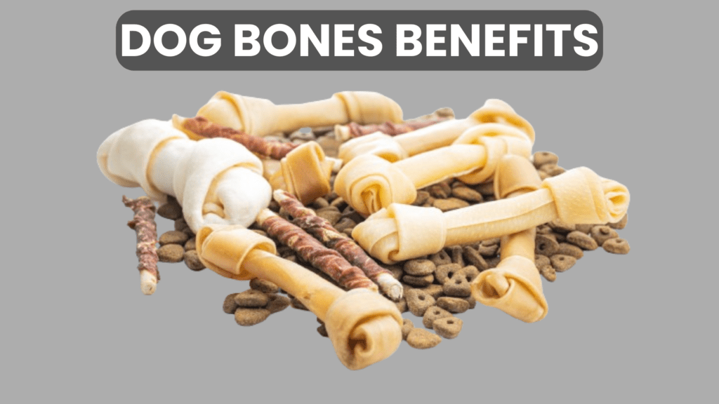 Satisfies Chewing Instinct: Dogs are chewers, and bones give them a healthy outlet. Saving your upholstery from nibbles.