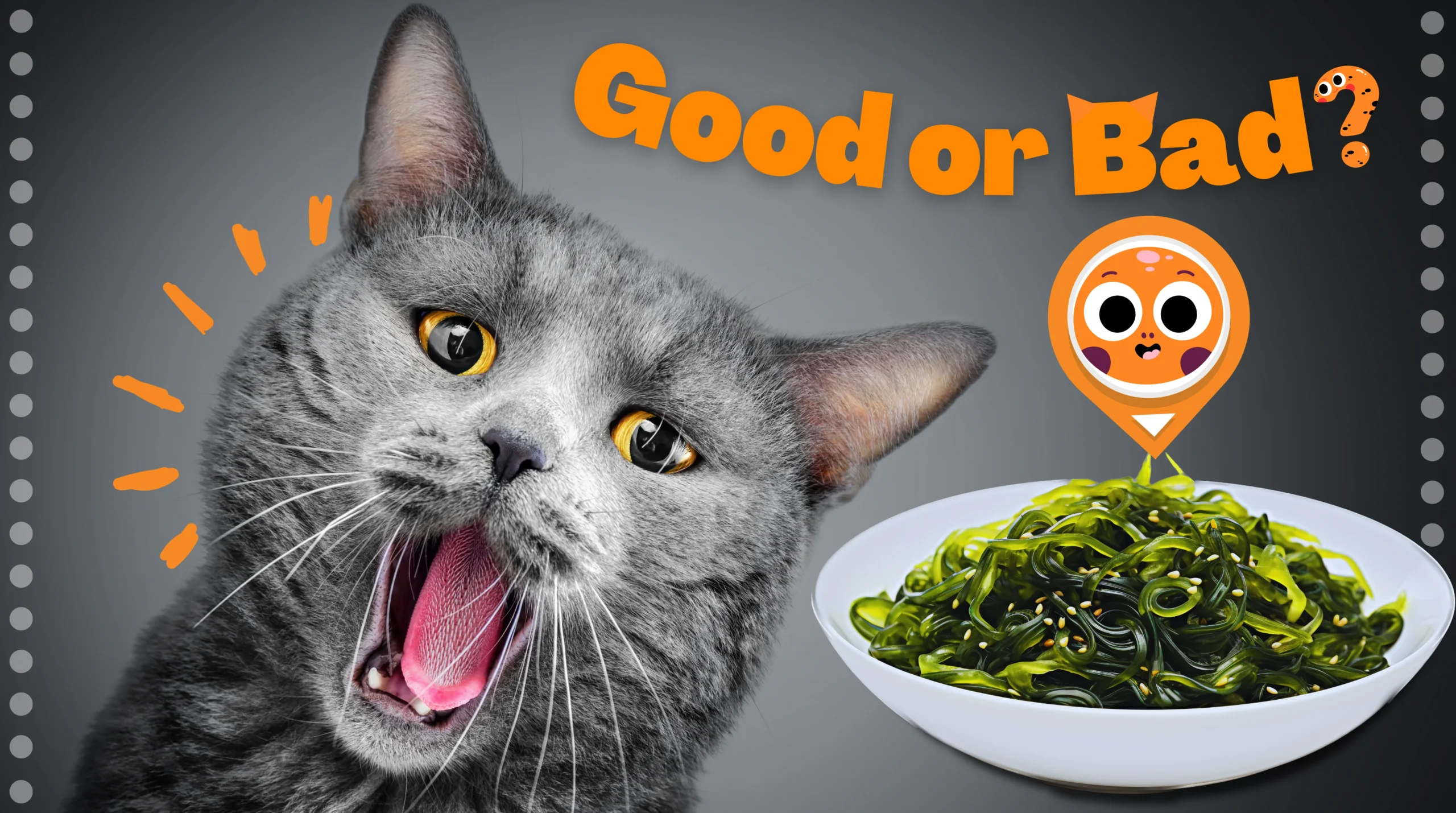 Can Cats Eat Seaweed? All You Need To Know Before Feeding!