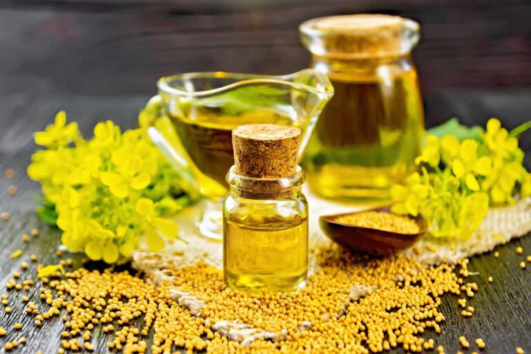 Is Canola Oil Safe for Dogs