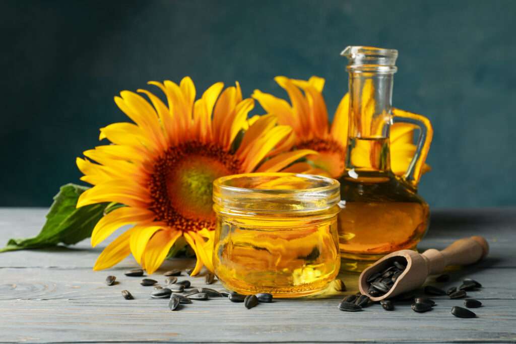 Sharing kitchen treats with your dog is great, but let’s be careful when we speak about oils. Thus, is sunflower oil toxic for dogs? Let's find out!