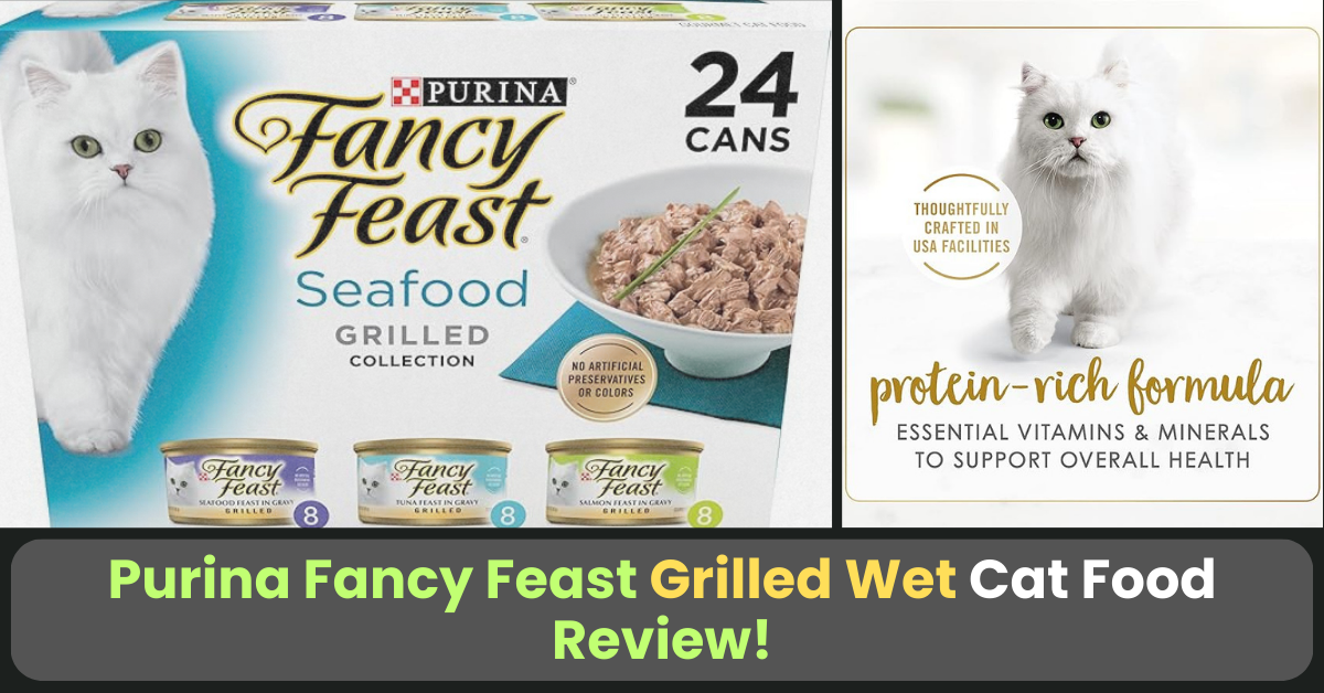 Purina Fancy Feast Grilled Wet Cat Food Seafood Collection Review In 2024!