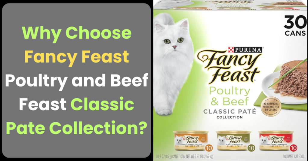 Why Choose Fancy Feast Poultry and Beef Feast Classic Pate Collection?